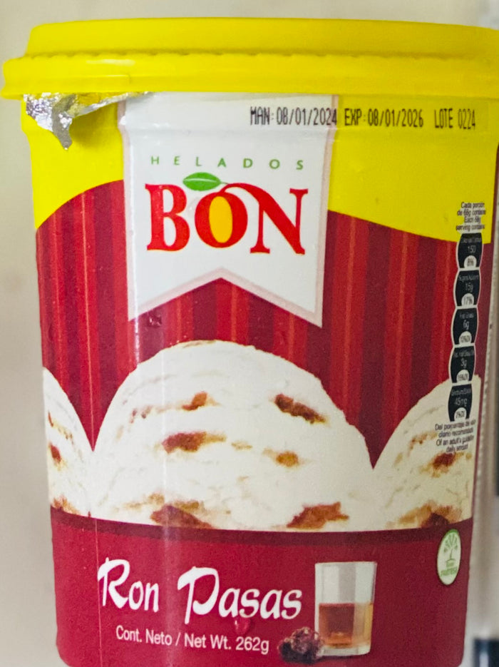 BON ICE CREAM (RUM & RAISIN, 262 G)