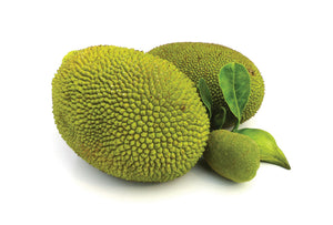 BREADFRUIT (1 COUNT)