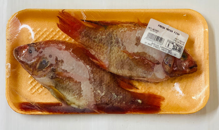 FRESH WATER FISH (PER TRAY)