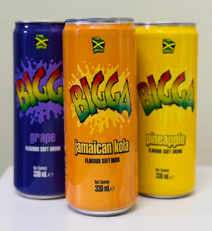 BIGGA SOFT DRINK / SODA (CAN, 330 ML, ASSORTED FLAVOURS)