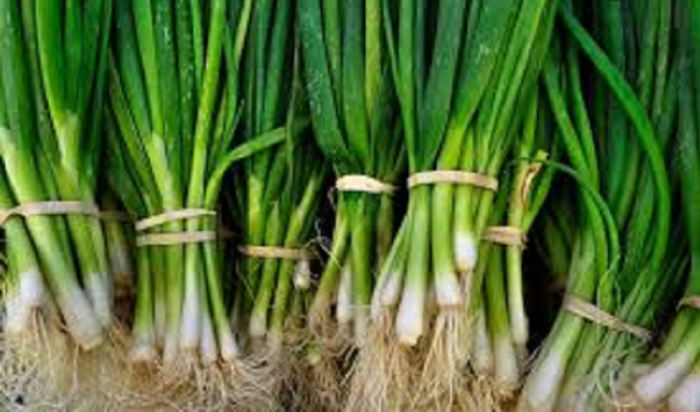 ESCALLION (PER BUNCH)