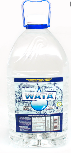 WATA PURIFIED DRINKING WATER (CASE, 5 L)