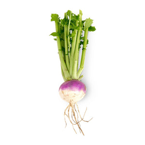 TURNIPS ($330 PER LBS)