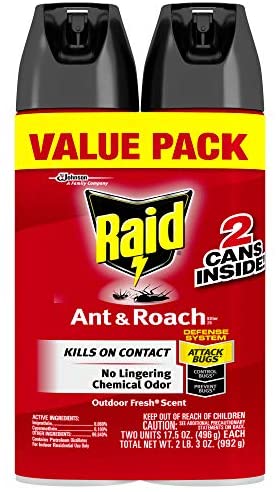 RAPID VALUE PACK (2 CANS, ANT & ROACH INSECTICIDE, 992 G)