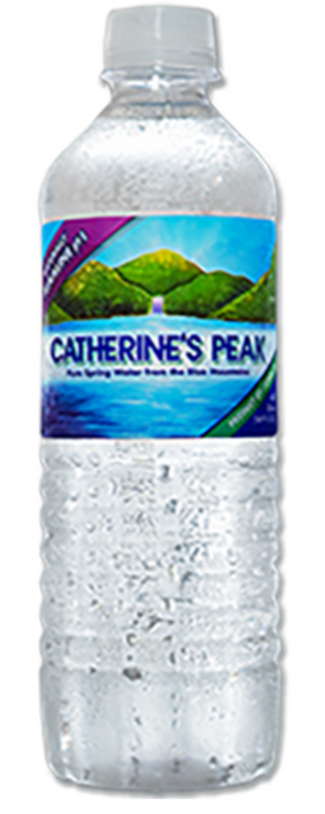 CATHERINE'S PEAK BOTTLED WATER (500 ML)