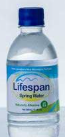 LIFESPAN SPRING BOTTLED WATER (340 ML)