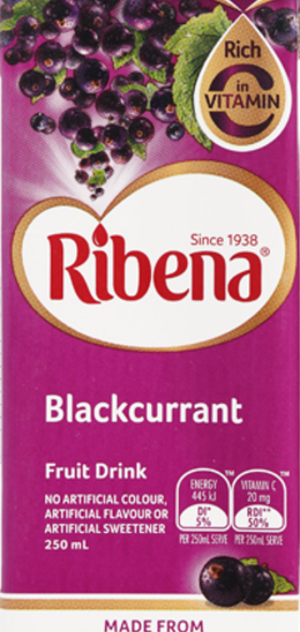 RIBENA BLACK CURRANT DRINK (250 ML)