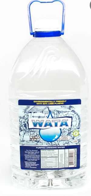 WATA PURIFIED DRINKING WATER (5 L)