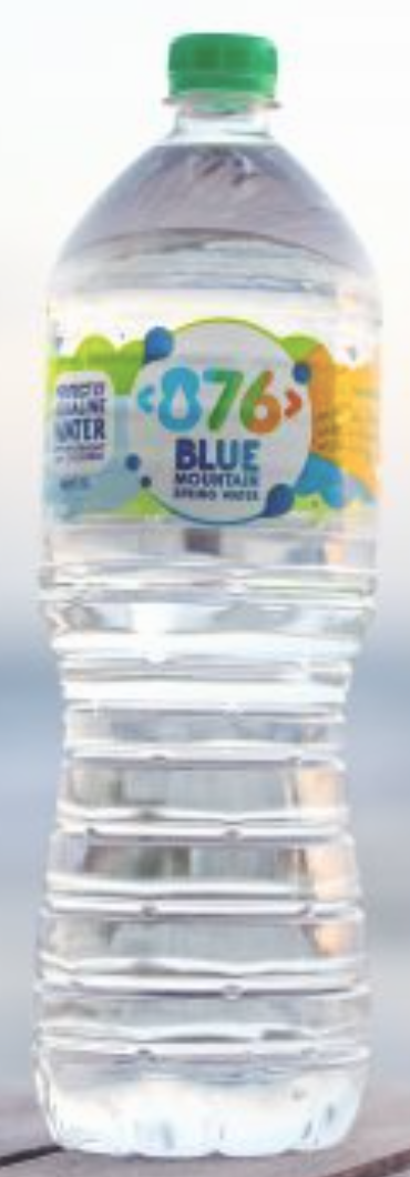 876 BLUE MOUNTAIN SPRING WATER (1.5 L)