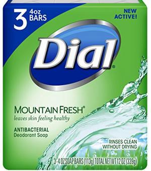 DIAL SOAP (3 PK, MOUNTAIN FRESH, 339 G)