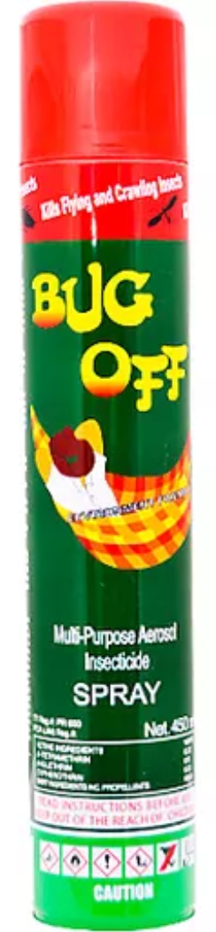 BUG OFF SPRAY (INSECTICIDE, 450 ML)