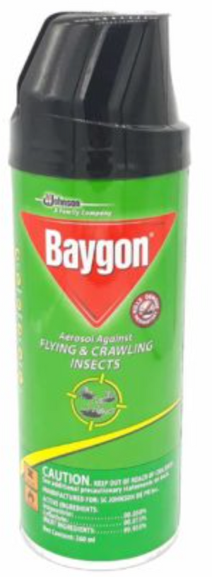 BAYGON INSECT SPRAY (INSECTICIDE, 260 ML)