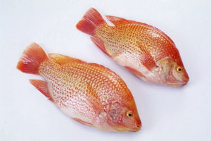 RED FISH (TILAPIA, PER LBS)