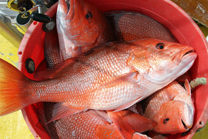 RED SNAPPER (LARGE, PER LBS)