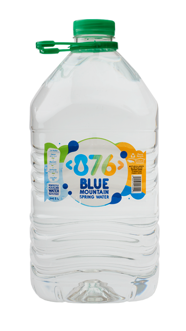 876 BLUE MOUNTAIN SPRING WATER (5 L)