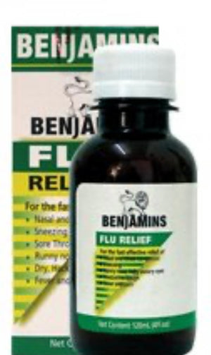BENJAMINS FLU RELIEF (120 ML)