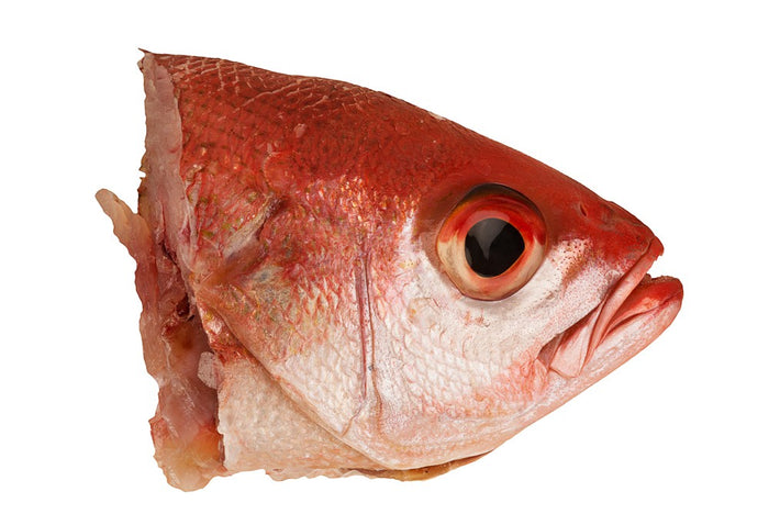 FISH HEAD (LARGE, PER LBS)