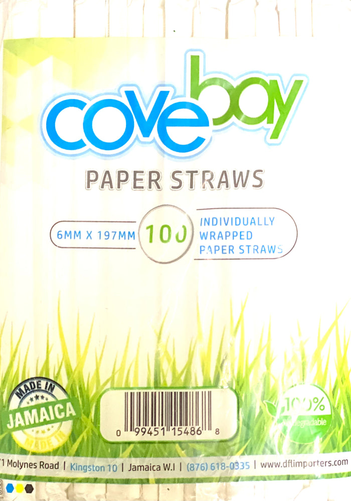 COVEBAY PAPER STRAWS (100 UNITS)
