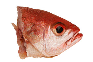 RED FISH HEAD (TILAPIA, PER LBS)